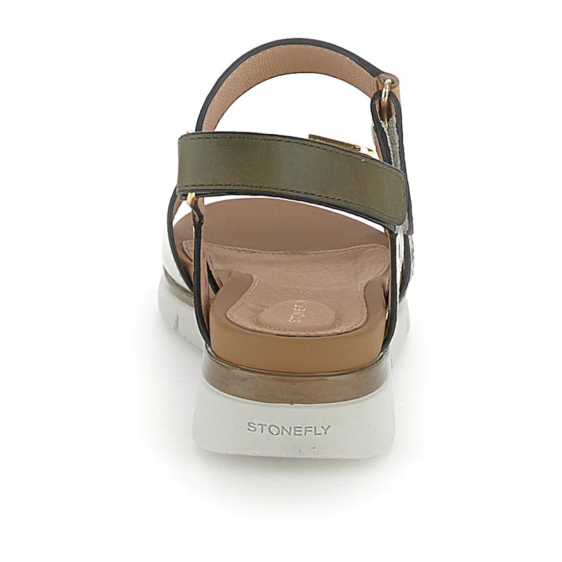 Stonefly 220834