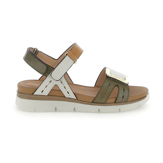 Stonefly 220834