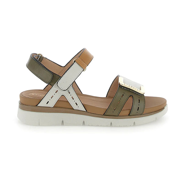 Stonefly 220834